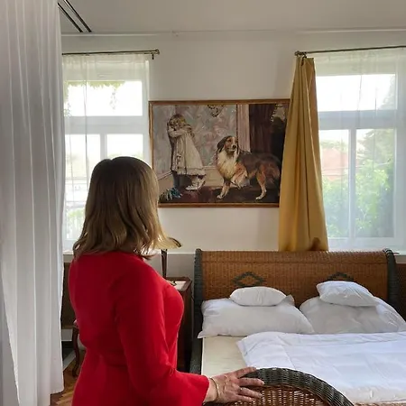 Luca Guest house Mosonmagyarovar