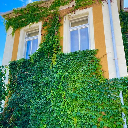 Luca Mosonmagyaróvár