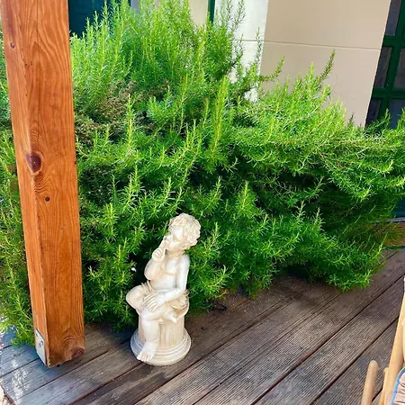 Luca 3* Mosonmagyaróvár