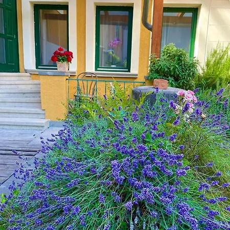 Luca Guest house *